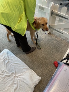 Jenny Stafford and her guide dog